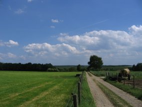 L08 Limburgs Landschap