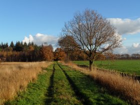 L09 Herfst in Haulerveld